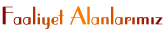 Faaliyet Alanlarmz